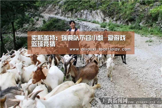 爱游戏体育APP