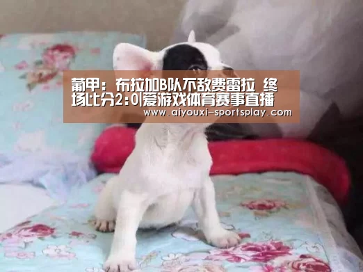 葡甲: 布拉加B队不敌费雷拉 终场比分2:0|爱游戏体育赛事直播(图2) 爱游戏篮球竞猜