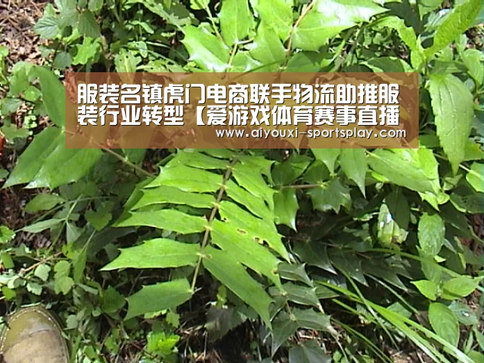 爱游戏体育APP
